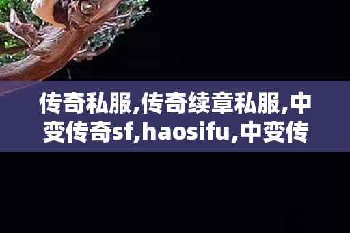 传奇私服,传奇续章私服,中变传奇sf,haosifu,中变传奇sf