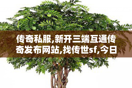 传奇私服,新开三端互通传奇发布网站,找传世sf,今日新开传奇私服发布网,找传世sf