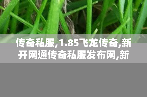 传奇私服,1.85飞龙传奇,新开网通传奇私服发布网,新开传奇私服发布网,新开网通传奇私服发布网