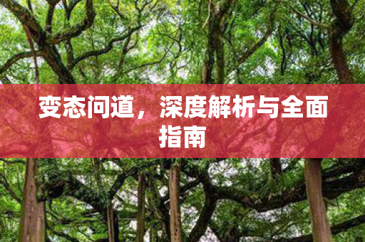 变态问道，深度解析与全面指南
