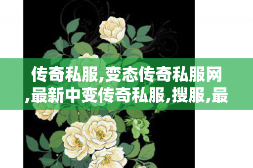 传奇私服,变态传奇私服网,最新中变传奇私服,搜服,最新中变传奇私服