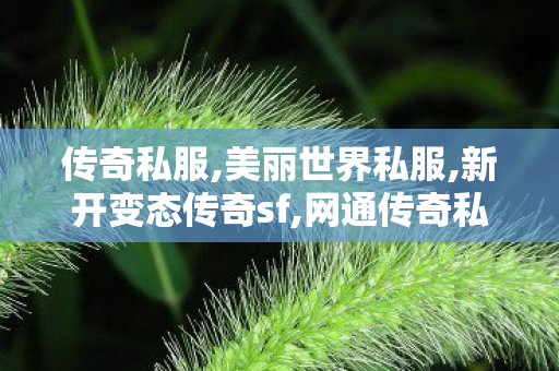传奇私服,美丽世界私服,新开变态传奇sf,网通传奇私服发布网站,新开变态传奇sf