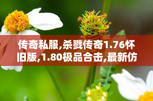 传奇私服,杀戮传奇1.76怀旧版,1.80极品合击,最新仿盛大传奇私服,1.80极品合击