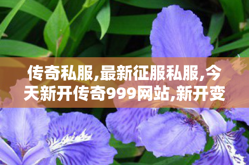 传奇私服,最新征服私服,今天新开传奇999网站,新开变态私服,今天新开传奇999网站