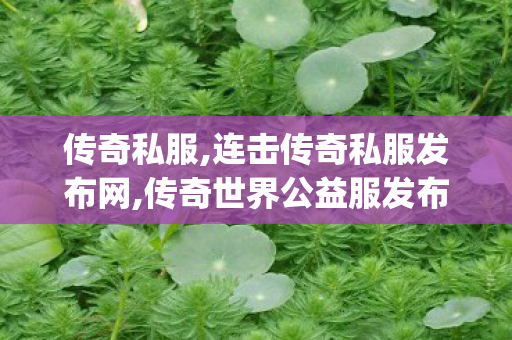 传奇私服,连击传奇私服发布网,传奇世界公益服发布网,jjj传奇私服,传奇世界公益服发布网