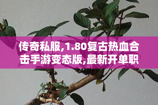 传奇私服,1.80复古热血合击手游变态版,最新开单职业,sf888,最新开单职业