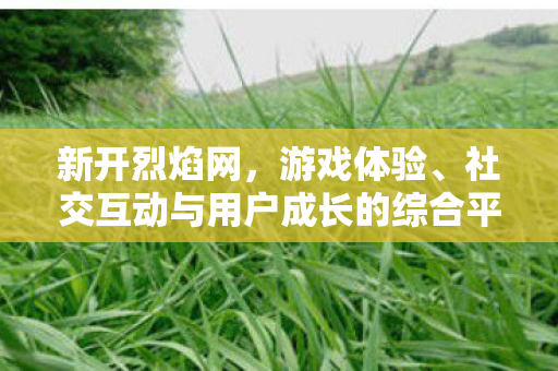 新开烈焰网，游戏体验、社交互动与用户成长的综合平台
