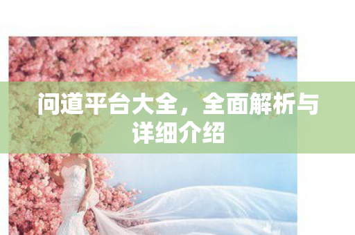 问道平台大全，全面解析与详细介绍
