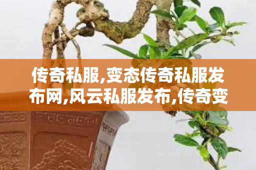 传奇私服,变态传奇私服发布网,风云私服发布,传奇变态私服发布网,风云私服发布
