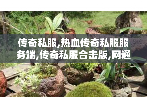 传奇私服,热血传奇私服服务端,传奇私服合击版,网通复古传奇,传奇私服合击版