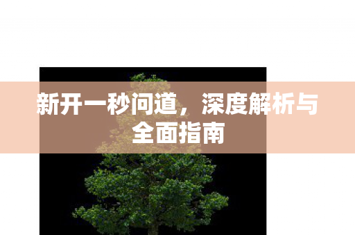新开一秒问道，深度解析与全面指南