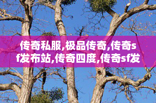 传奇私服,极品传奇,传奇sf发布站,传奇四度,传奇sf发布站