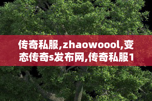 传奇私服,zhaowoool,变态传奇s发布网,传奇私服1.76精品,变态传奇s发布网
