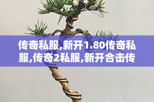 传奇私服,新开1.80传奇私服,传奇2私服,新开合击传奇sf,传奇2私服