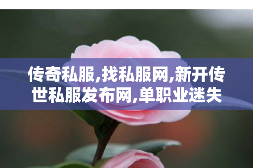 传奇私服,找私服网,新开传世私服发布网,单职业迷失私服传奇,新开传世私服发布网
