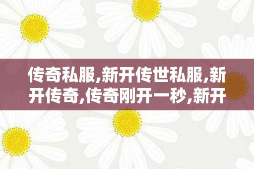 传奇私服,新开传世私服,新开传奇,传奇刚开一秒,新开传奇