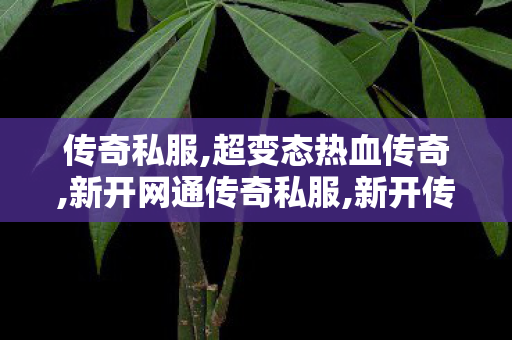 传奇私服,超变态热血传奇,新开网通传奇私服,新开传世sf网,新开网通传奇私服