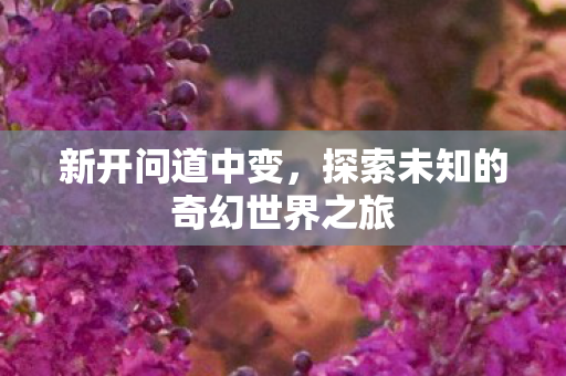 新开问道中变，探索未知的奇幻世界之旅