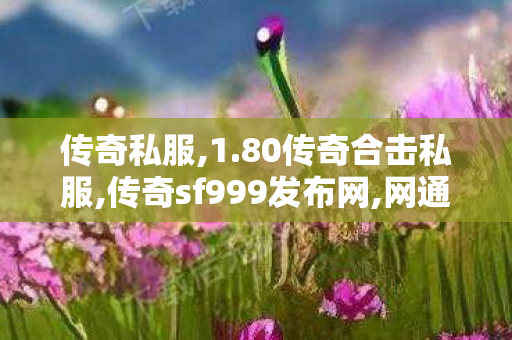 传奇私服,1.80传奇合击私服,传奇sf999发布网,网通轻变传奇,传奇sf999发布网