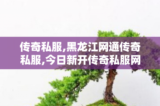 传奇私服,黑龙江网通传奇私服,今日新开传奇私服网,新开的传奇世界私服,今日新开传奇私服网