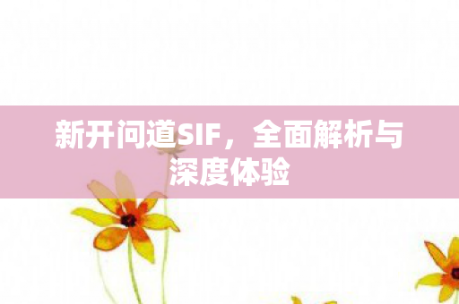 新开问道SIF，全面解析与深度体验