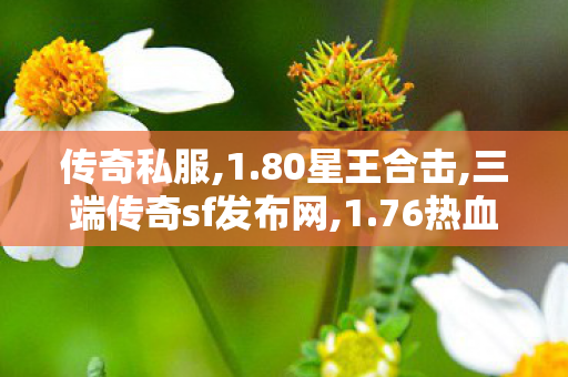 传奇私服,1.80星王合击,三端传奇sf发布网,1.76热血单职业版本,三端传奇sf发布网