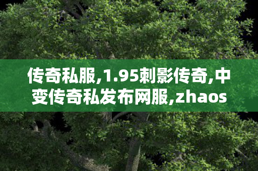 传奇私服,1.95刺影传奇,中变传奇私发布网服,zhaosifu,中变传奇私发布网服
