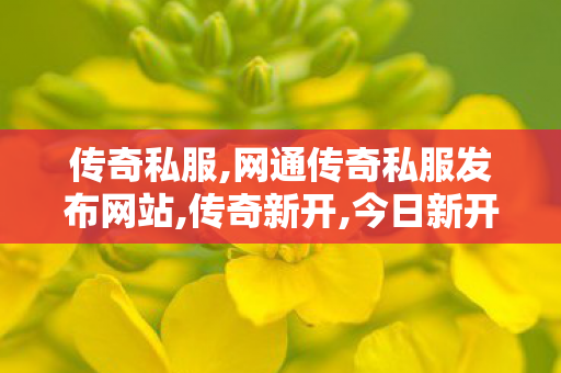 传奇私服,网通传奇私服发布网站,传奇新开,今日新开1.76传奇网,传奇新开