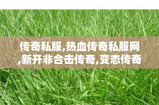 传奇私服,热血传奇私服网,新开非合击传奇,变态传奇发布网,新开非合击传奇