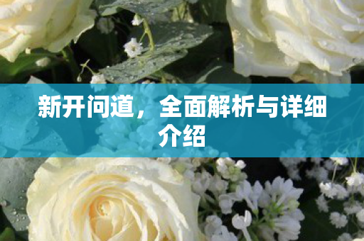 新开问道，全面解析与详细介绍
