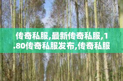传奇私服,最新传奇私服,1.80传奇私服发布,传奇私服完整客户端,1.80传奇私服发布