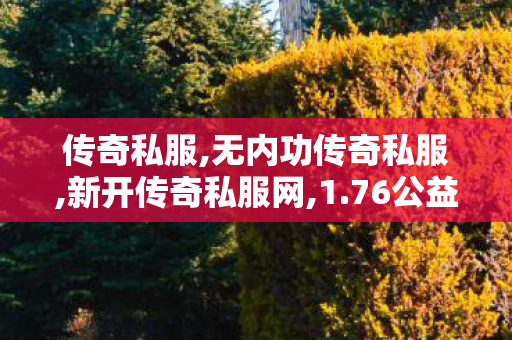 传奇私服,无内功传奇私服,新开传奇私服网,1.76公益传奇,新开传奇私服网