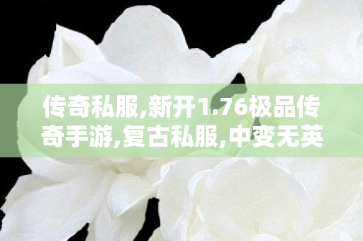 传奇私服,新开1.76极品传奇手游,复古私服,中变无英雄传奇私服,复古私服