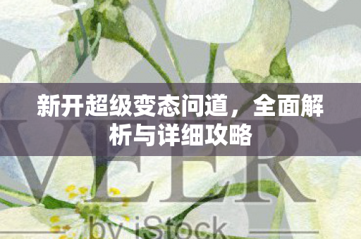 新开超级变态问道，全面解析与详细攻略