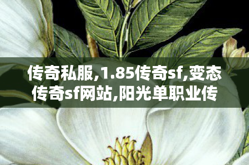 传奇私服,1.85传奇sf,变态传奇sf网站,阳光单职业传奇打金服,变态传奇sf网站