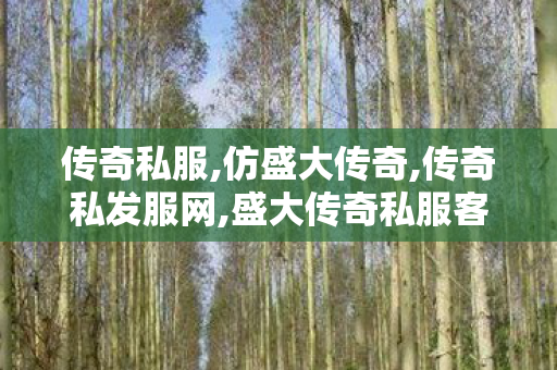 传奇私服,仿盛大传奇,传奇私发服网,盛大传奇私服客户端,传奇私发服网