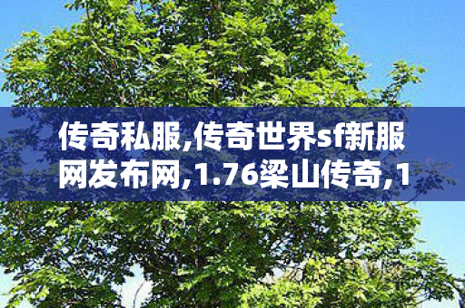 传奇私服,传奇世界sf新服网发布网,1.76梁山传奇,1.80极品合击,1.76梁山传奇