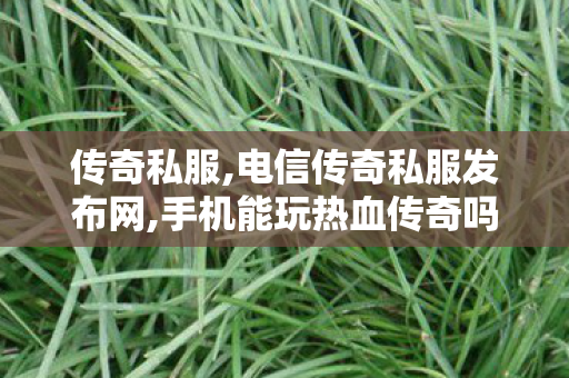 传奇私服,电信传奇私服发布网,手机能玩热血传奇吗,最新决战私服,手机能玩热血传奇吗