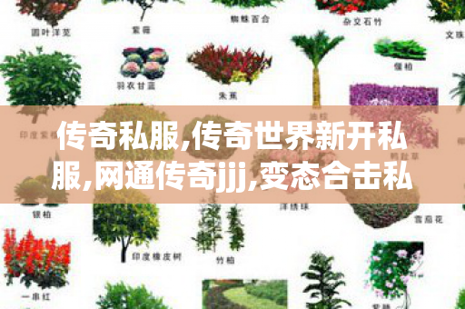 传奇私服,传奇世界新开私服,网通传奇jjj,变态合击私服,网通传奇jjj