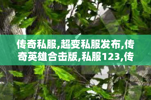 传奇私服,超变私服发布,传奇英雄合击版,私服123,传奇英雄合击版