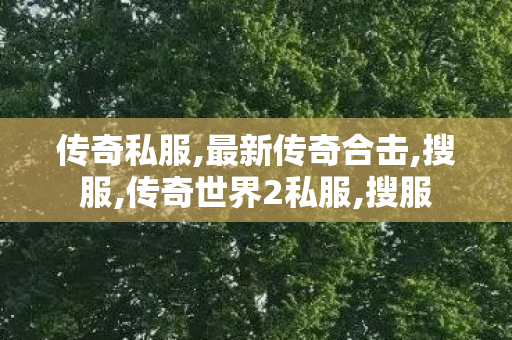 传奇私服,最新传奇合击,搜服,传奇世界2私服,搜服