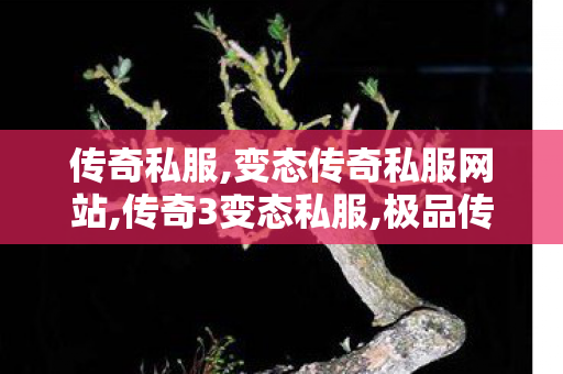 传奇私服,变态传奇私服网站,传奇3变态私服,极品传奇私服,传奇3变态私服