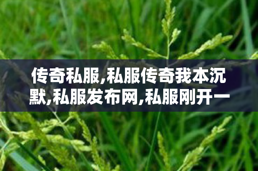 传奇私服,私服传奇我本沉默,私服发布网,私服刚开一秒,私服发布网