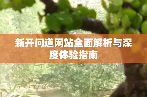 新开问道网站全面解析与深度体验指南