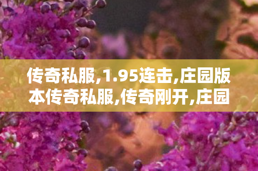 传奇私服,1.95连击,庄园版本传奇私服,传奇刚开,庄园版本传奇私服