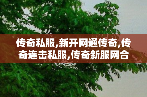 传奇私服,新开网通传奇,传奇连击私服,传奇新服网合击,传奇连击私服