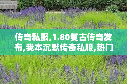 传奇私服,1.80复古传奇发布,我本沉默传奇私服,热门私服,我本沉默传奇私服