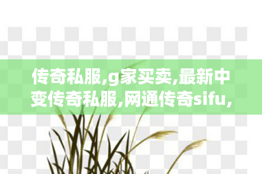 传奇私服,g家买卖,最新中变传奇私服,网通传奇sifu,最新中变传奇私服