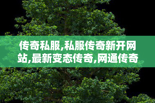 传奇私服,私服传奇新开网站,最新变态传奇,网通传奇sf网站,最新变态传奇