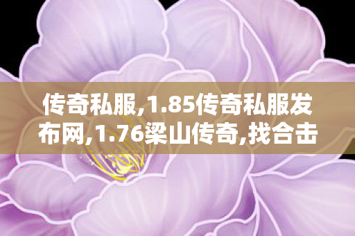 传奇私服,1.85传奇私服发布网,1.76梁山传奇,找合击sf,1.76梁山传奇